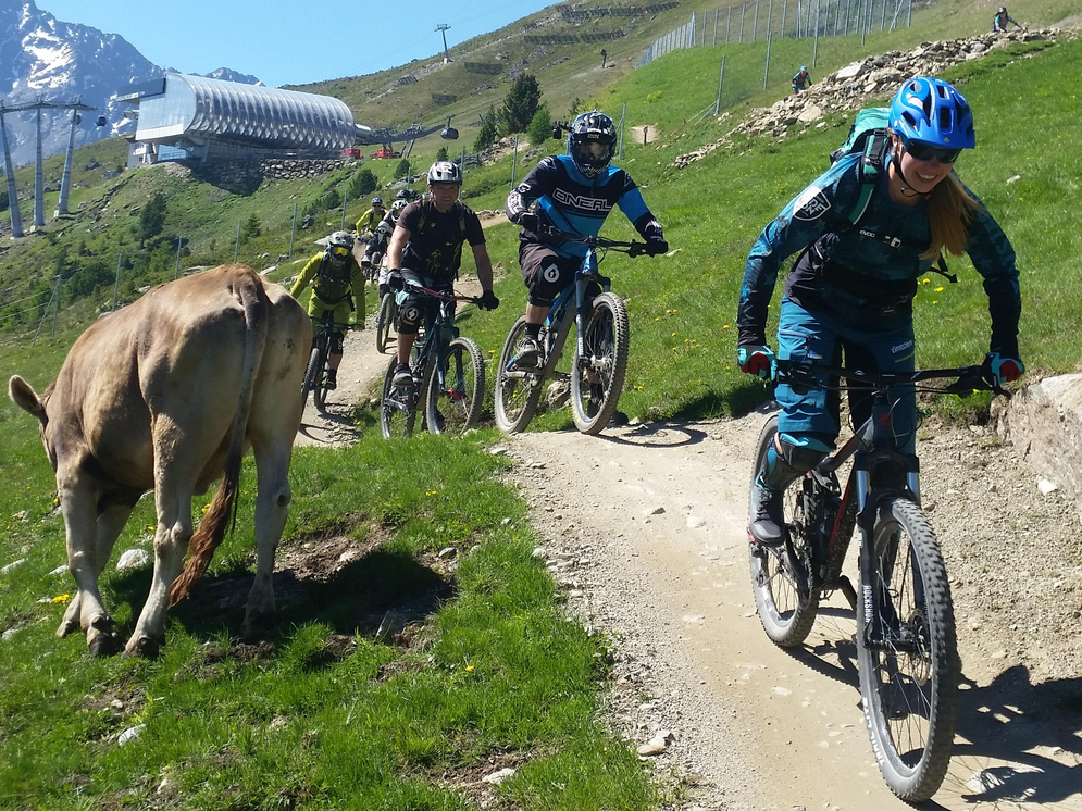 Mountainbiker rijdt de Teäre Line